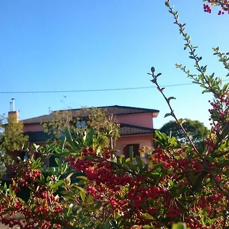 Irpinia 3* Gesualdo