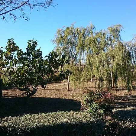 Irpinia Bed and Breakfast
